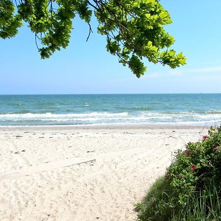 Strandnahe Fewo Mit Balkon, Gratis Nutzung Vom Ahoi Erlebnisbad Und Sauna In Sellin - Rex Rugia Fewo 13-7 洛布 外观 照片
